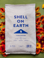 Load image into Gallery viewer, Shell on Earth - XL Bag
