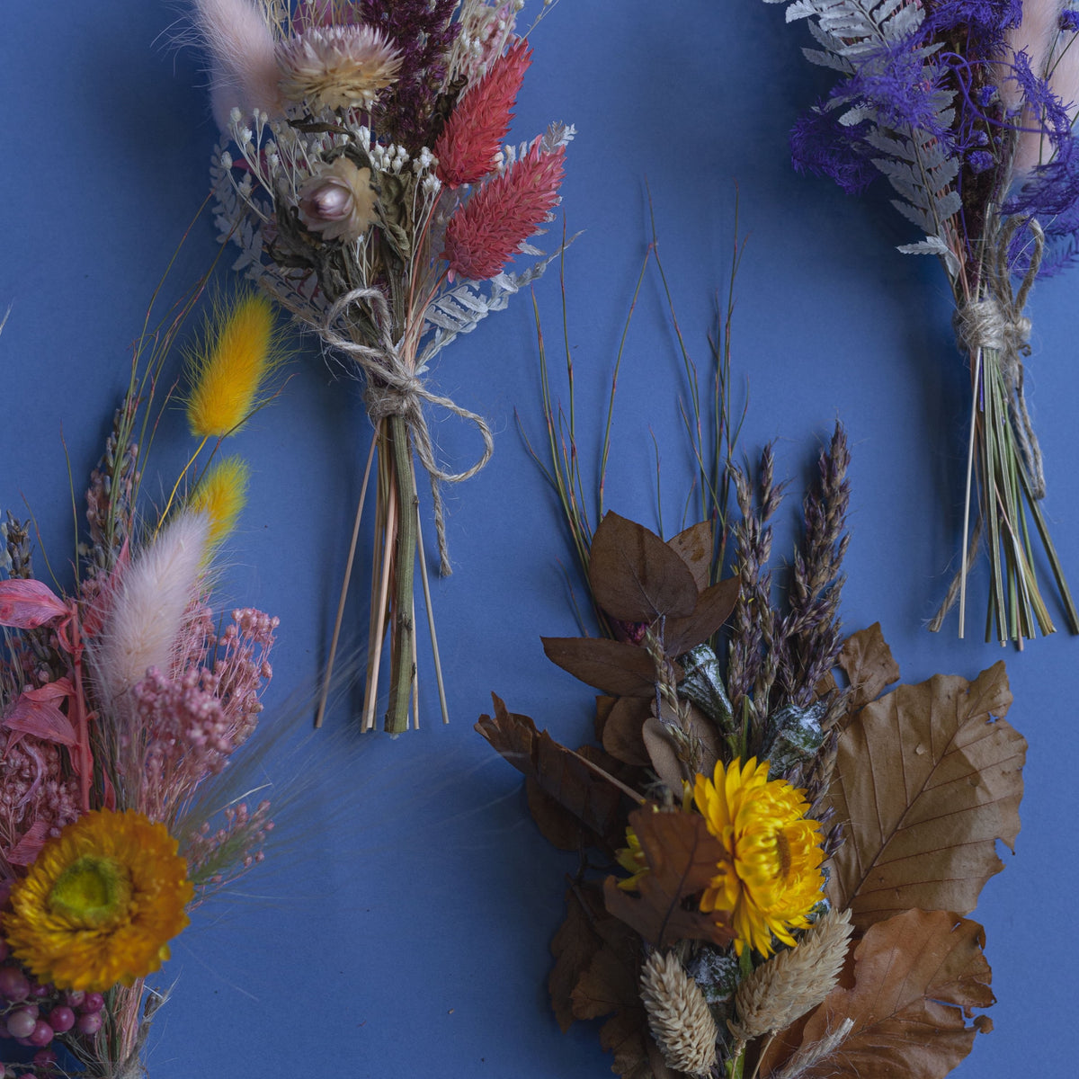 Dried Mini Collection Blooms Glasgow