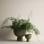 Load image into Gallery viewer, FIGURE Bowl  - small green
