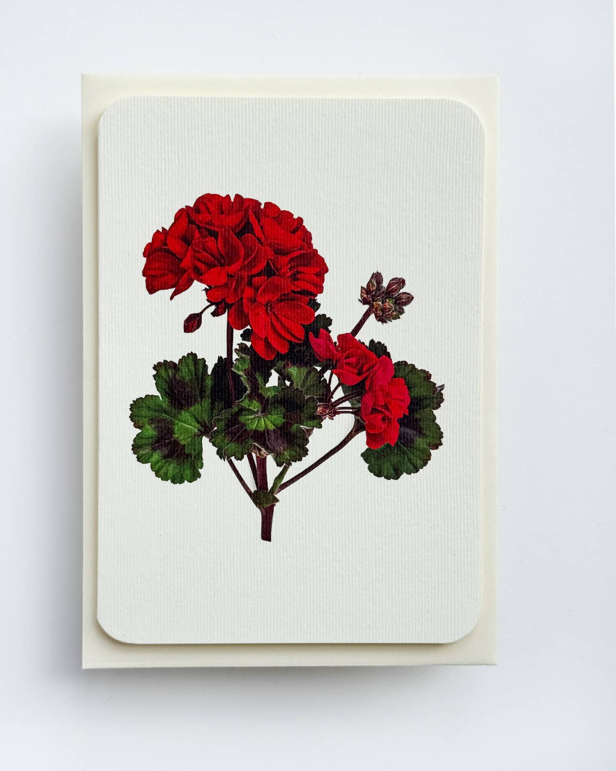 Geranium Card