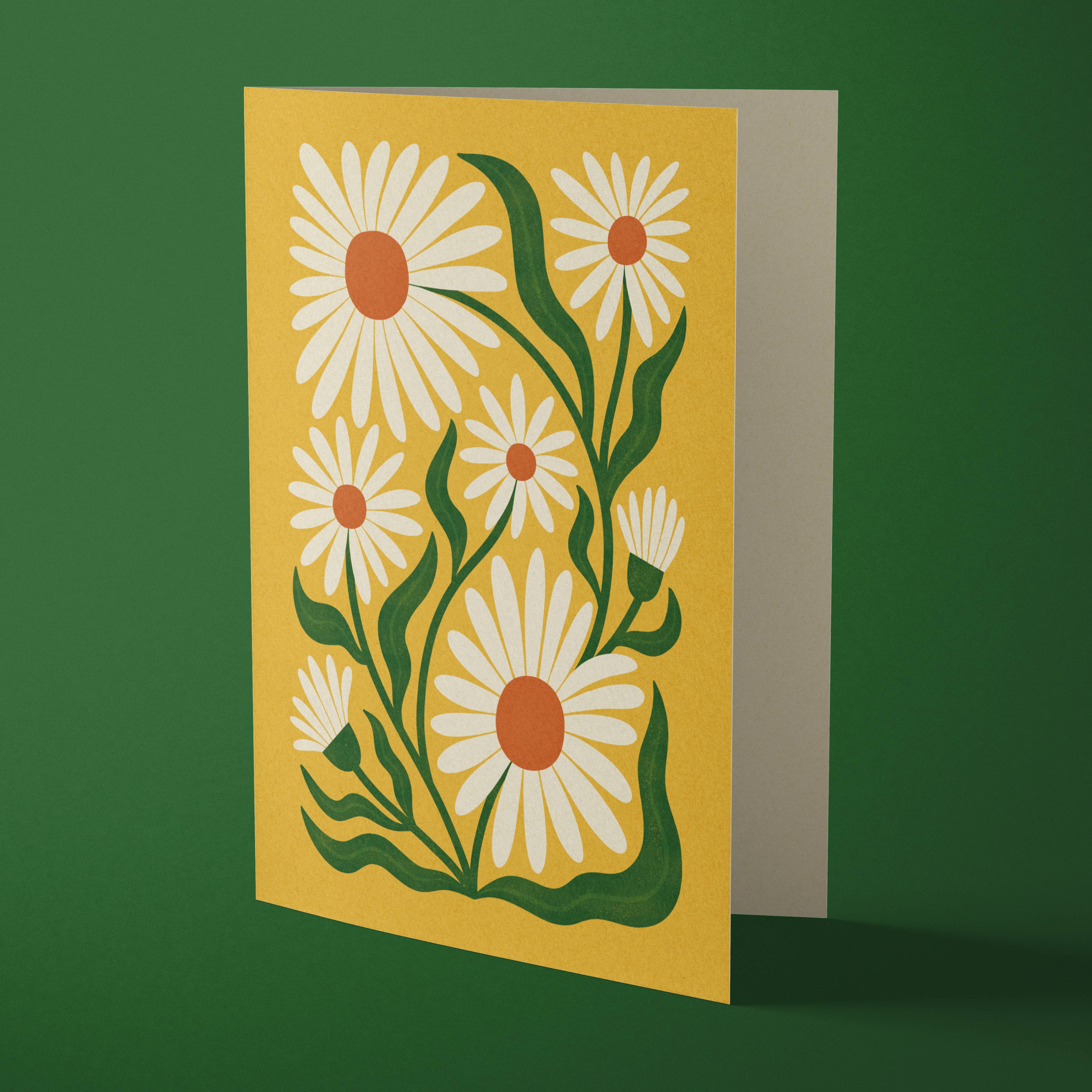 Ox-Eye Daisy Card