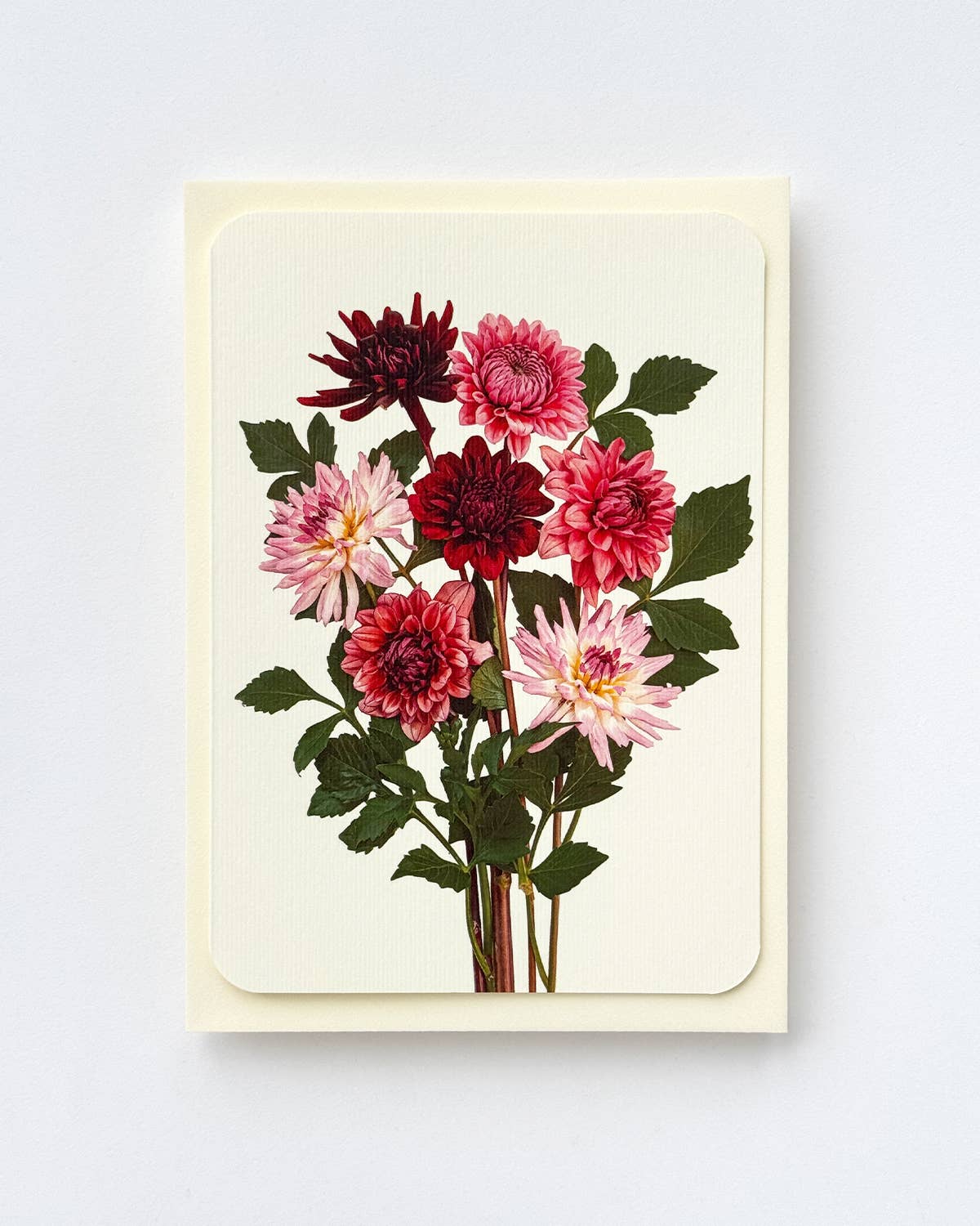 Garden Dahlias Card