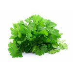 Load image into Gallery viewer, Parsley Gigante d’Italia

