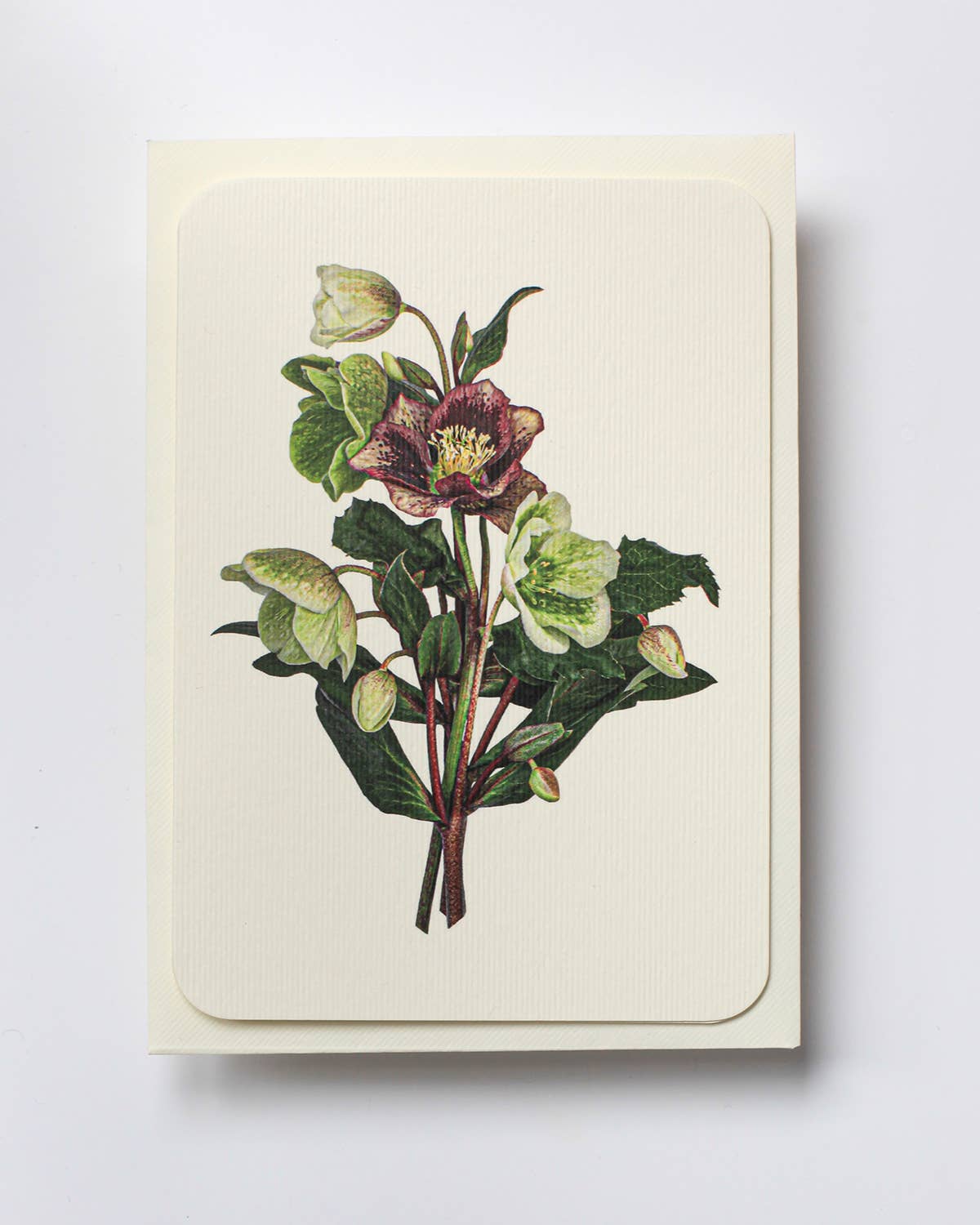 Posy of Hellebore Card
