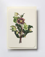 Load image into Gallery viewer, Posy of Hellebore Card
