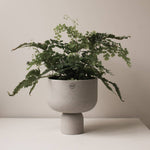 Load image into Gallery viewer, POST Pot - grey
