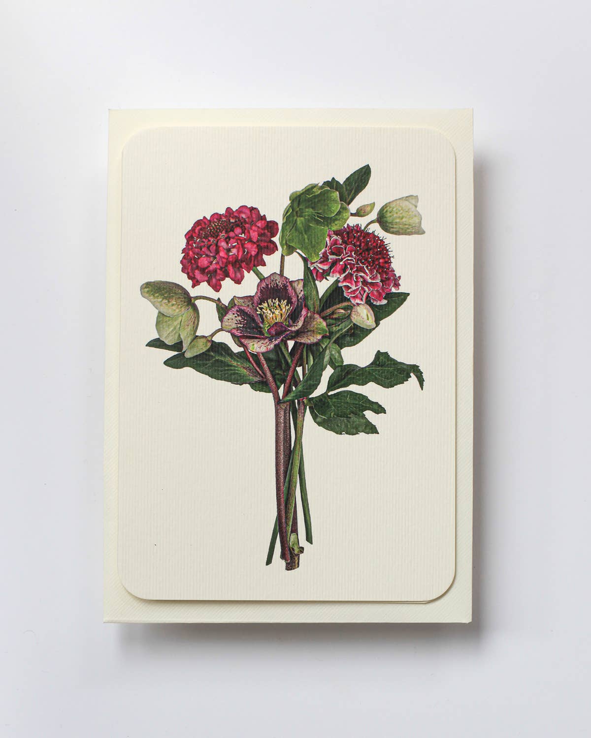 Posy of Hellebore & Scabiosa Card