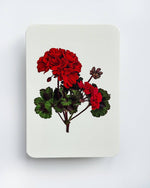 Load image into Gallery viewer, Geranium Card
