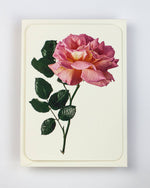 Load image into Gallery viewer, Pink Rose Card
