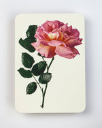 Load image into Gallery viewer, Pink Rose Card
