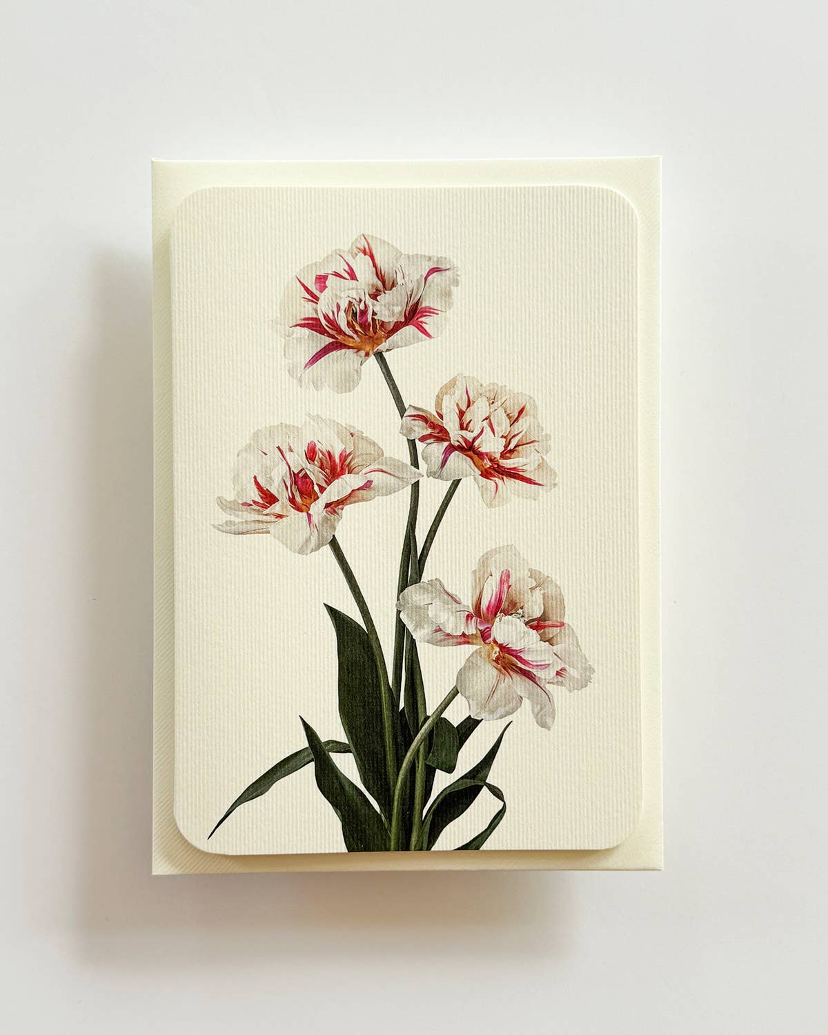 Tulips Card