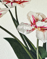Load image into Gallery viewer, Tulips Card

