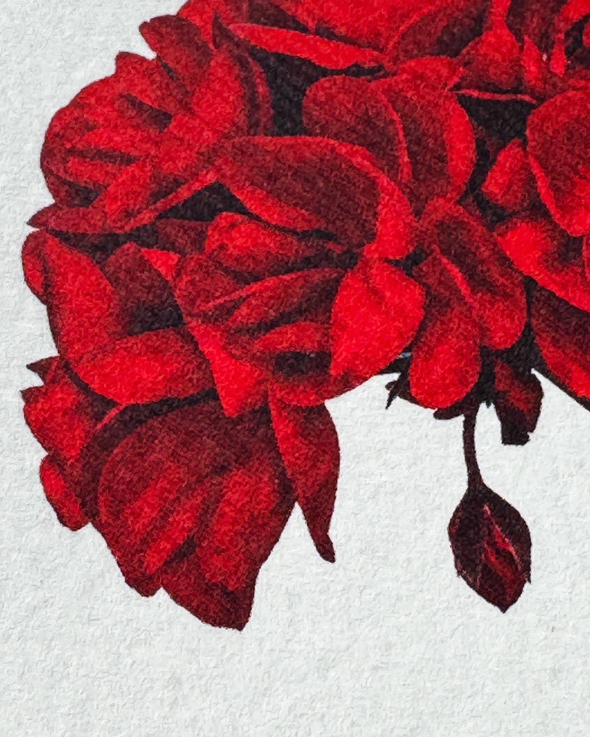 Geranium Card