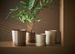Load image into Gallery viewer, Hygge Pot
