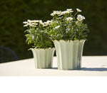 Load image into Gallery viewer, Scallop Pot (Green)
