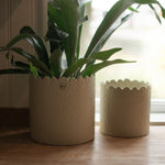 Load image into Gallery viewer, PETAL Pot - cream
