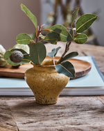 Load image into Gallery viewer, Kolo Vase
