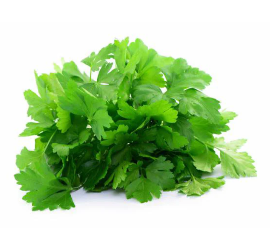 Parsley Gigante d’Italia