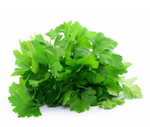 Load image into Gallery viewer, Parsley Gigante d’Italia
