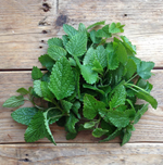 Load image into Gallery viewer, Lemon Balm
