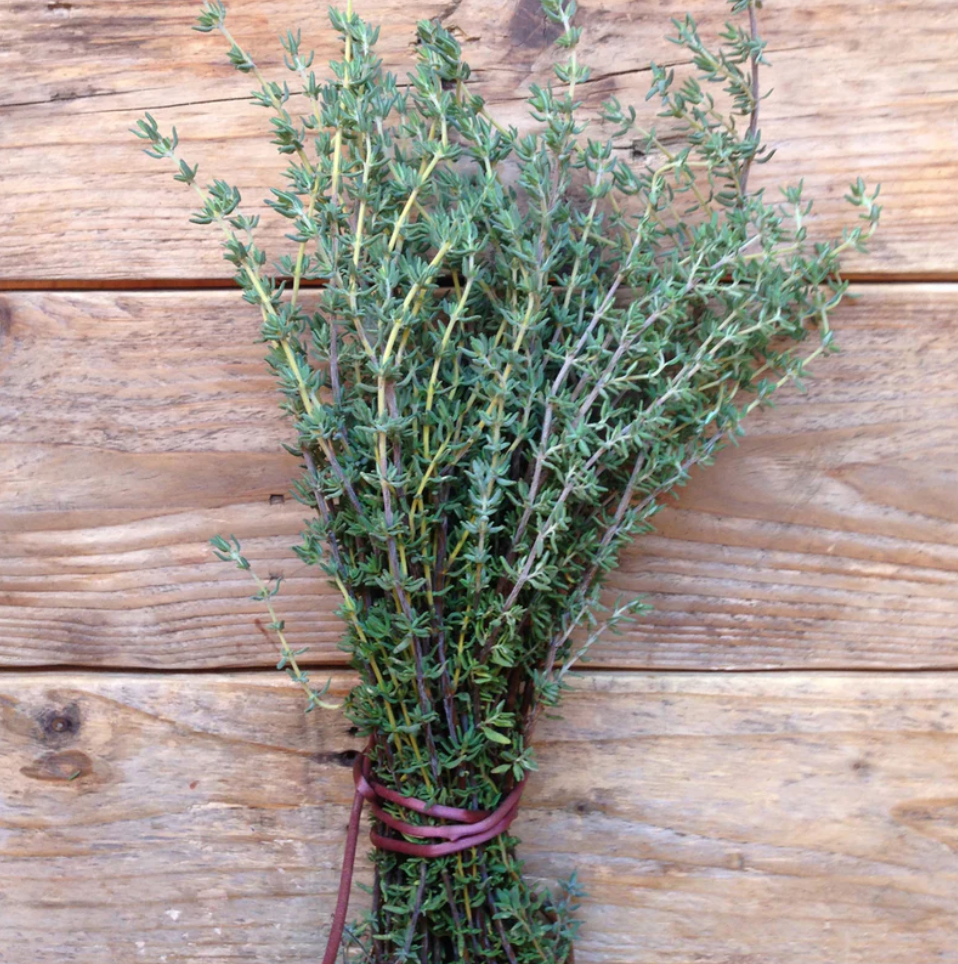 Thyme de Provence