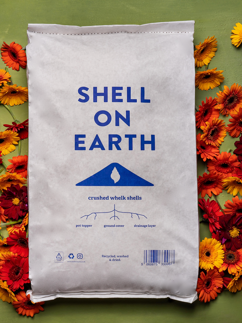 Shell on Earth (XL Bag)