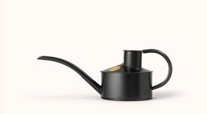 The Fazeley Flow Watering Can Graphite