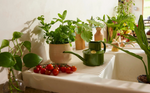 Load image into Gallery viewer, The Fazeley Flow Watering Can Fern Green
