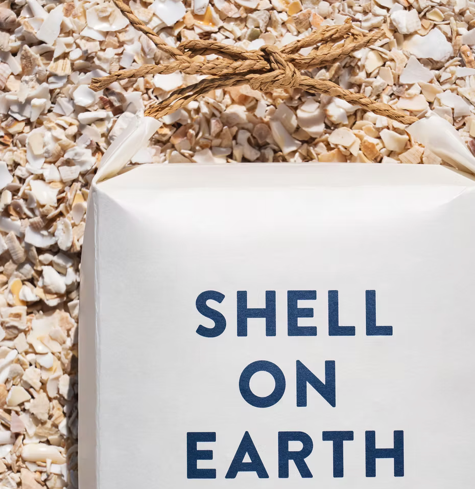 Shell on Earth (Small)