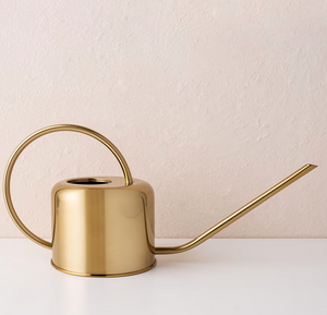 Brass Watering Can