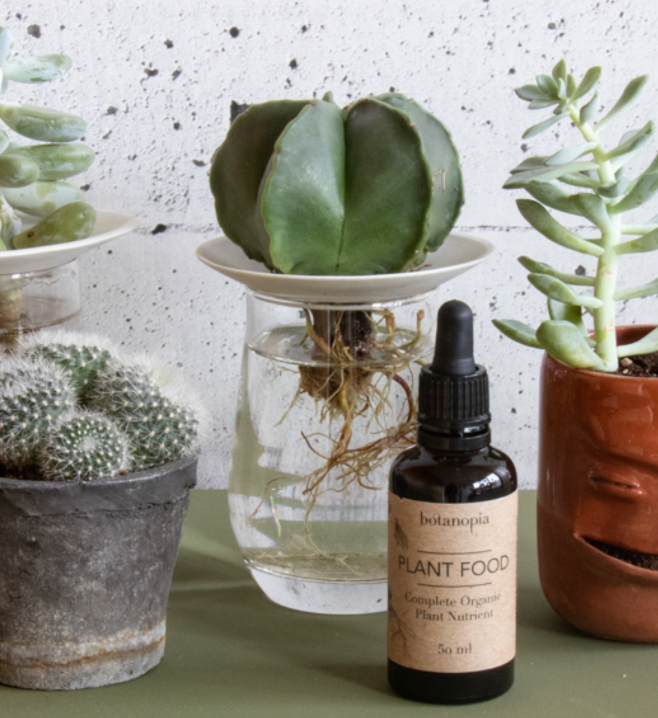 Organic Plant Food (50ml)