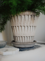 Load image into Gallery viewer, Pantheon Grey
