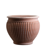 Load image into Gallery viewer, Piccolina
