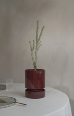 Load image into Gallery viewer, Hoff + Saucer (14cm)
