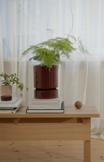 Load image into Gallery viewer, Hoff + Saucer (14cm)
