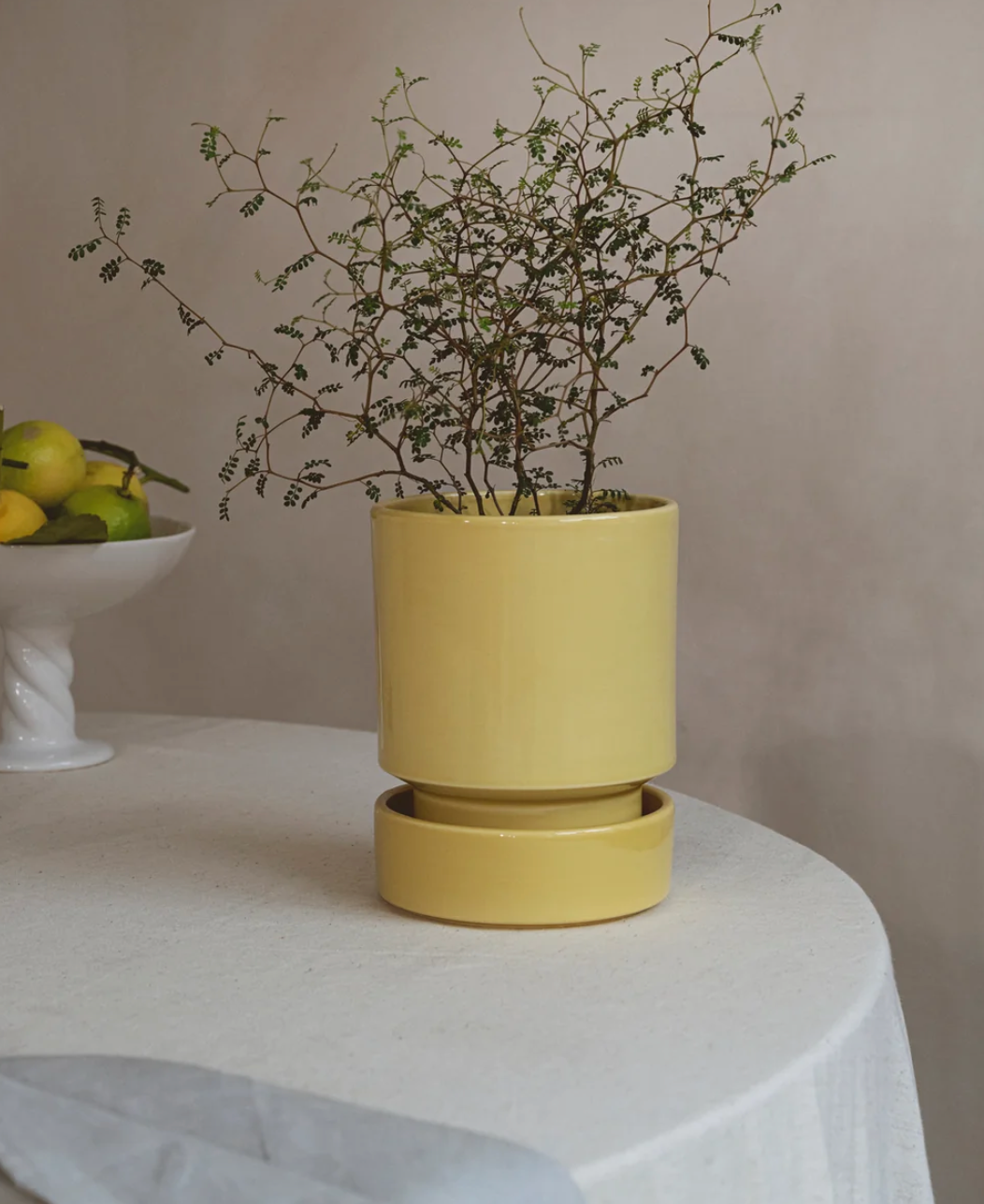 Hoff + Saucer (21cm)