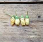 Load image into Gallery viewer, Alpine Strawberry 'White Soul' Seeds
