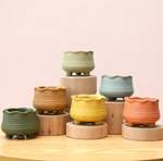 Load image into Gallery viewer, WAVY Mini Pot
