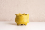 Load image into Gallery viewer, WAVY Mini Pot
