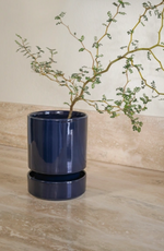 Load image into Gallery viewer, Hoff + Saucer (14cm)
