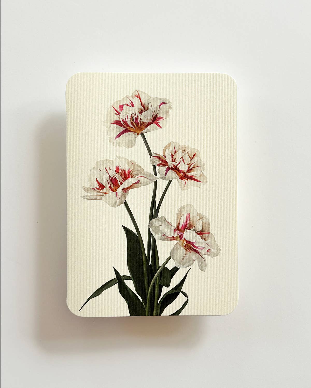 Tulips Card