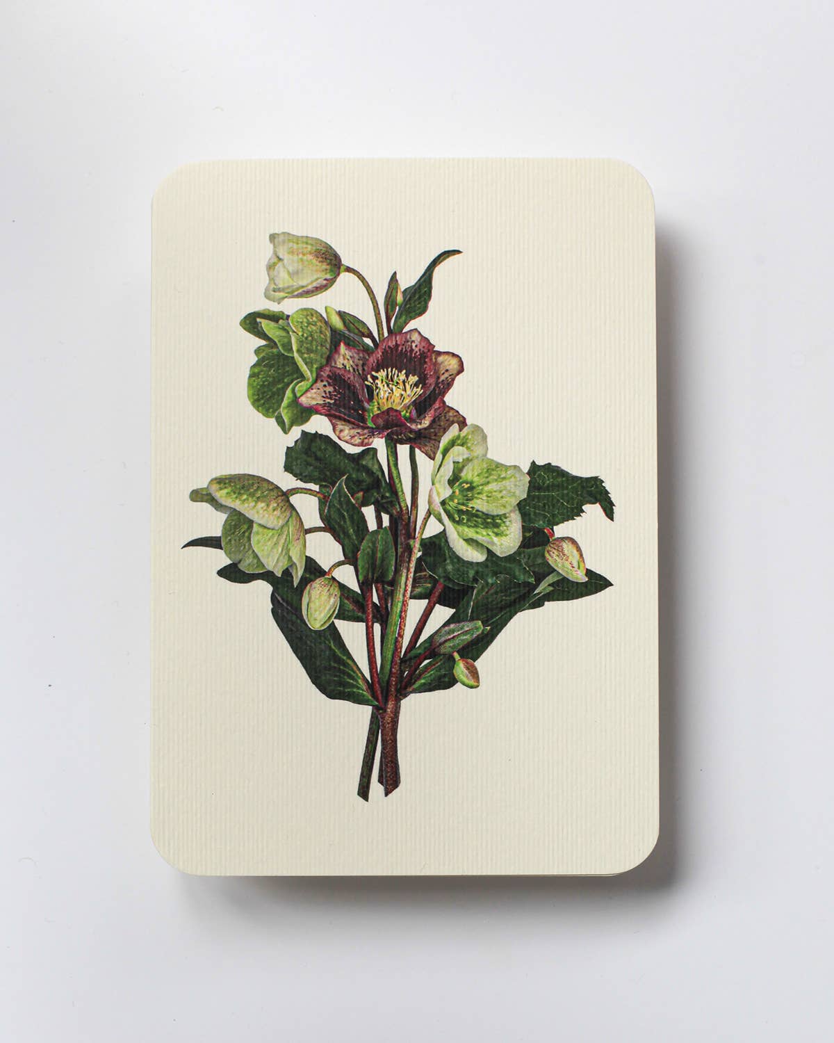 Posy of Hellebore Card