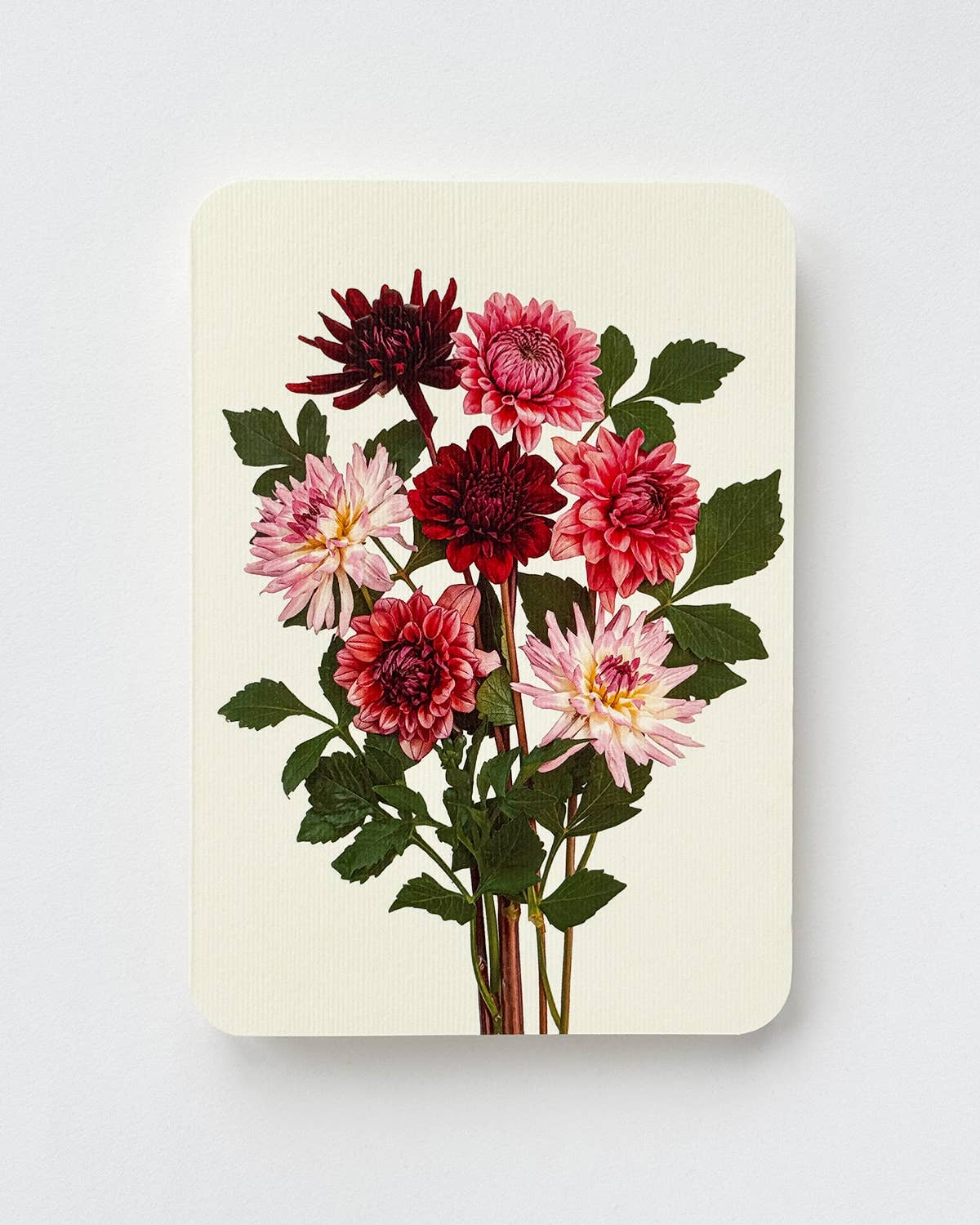 Garden Dahlias Card