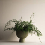 Load image into Gallery viewer, FIGURE Bowl - large green

