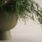 Load image into Gallery viewer, FIGURE Bowl - large green

