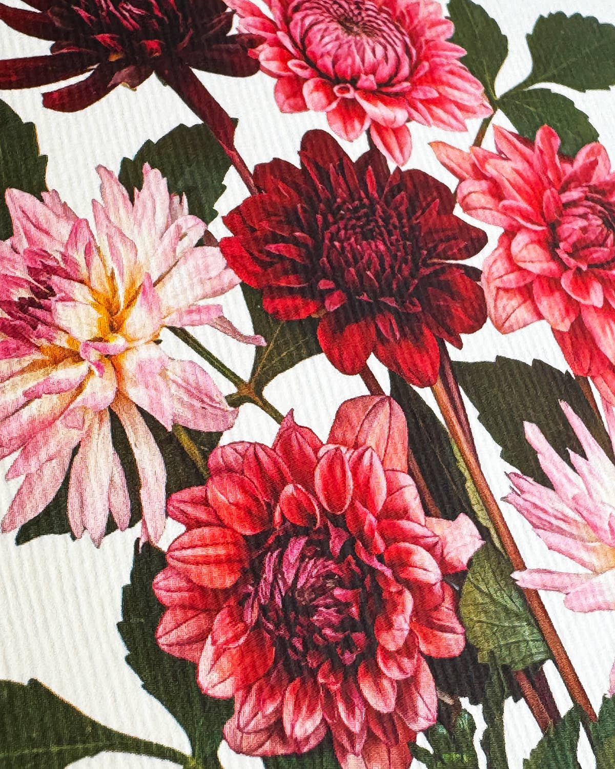 Garden Dahlias Card