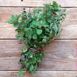 Load image into Gallery viewer, Oregano Greek
