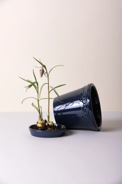 Copenhagen Sapphire Blue