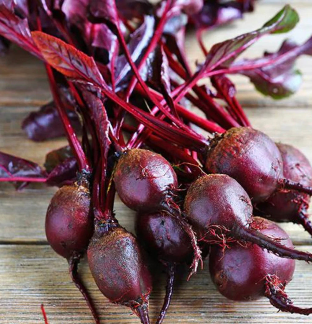 Beetroot blood sale