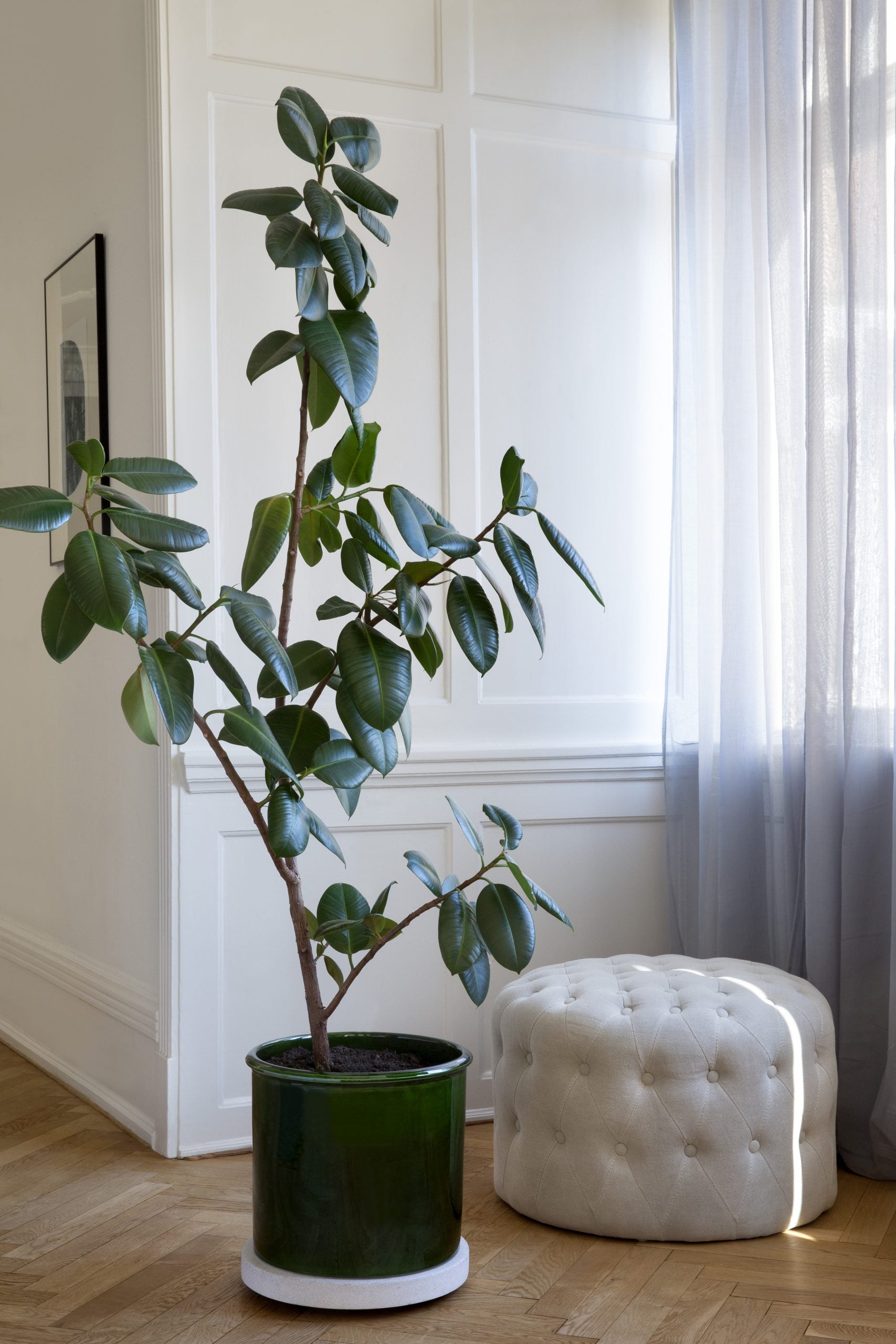 Modena Emerald Green